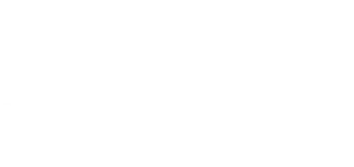 Avarra by Palace logo